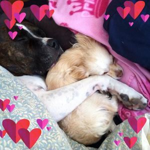 Meet your Posher, Debbie